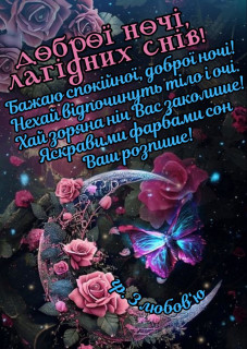 IMG-0d7379e789a33173f95eb1226c1501dd-V