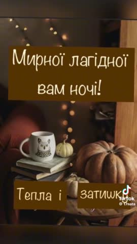 video-2778b6fee46459d8a290d6fbca8ed5cd-V