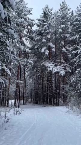 VID_20231129_160500_722