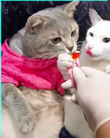 всё_как_у_людей