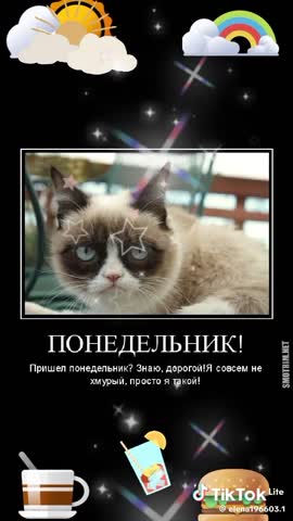 e6991c79c6c8d4409230cf4468be005d