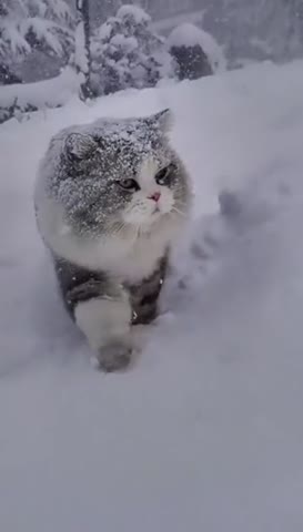 WhatsApp_Video_2023-12-01_at_11_45_38