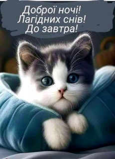 FB_IMG_17014627827742639