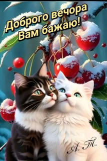 FB_IMG_17014508041372517