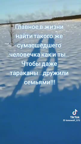 2a56c9ec881a048602b2f543656d0304