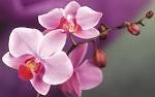 images-1