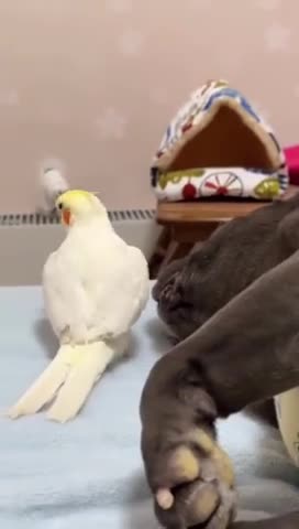 ну_просыпайся_уже