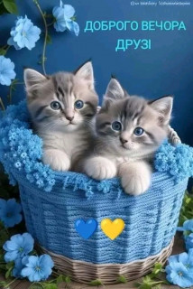 FB_IMG_17017023552232962