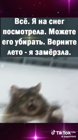 video-02e27769a8a6423830674283c1c502e6-V