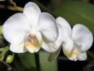 images-12