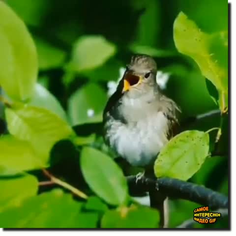 WhatsApp_Video_2023-12-07_at_19_33_14