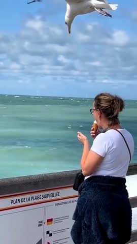 2_5390875935840940251