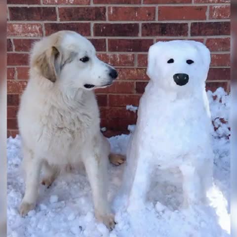 фантазии_из_снега