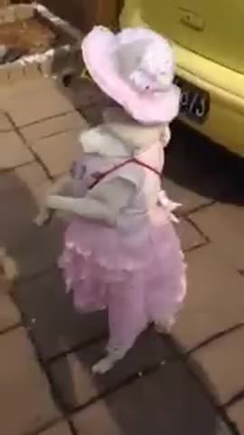 Модница
