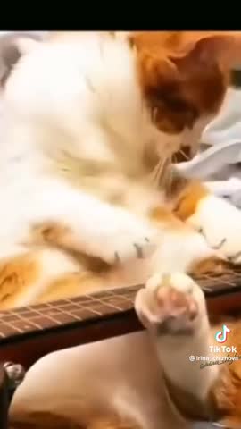 WhatsApp_Video_2023-12-15_at_05_41_06