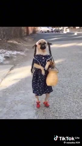 video-6b2aaf712ac3a167fafba63bc441b797-V