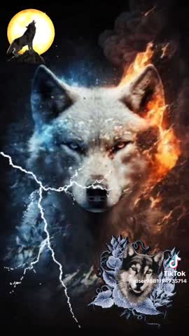 1702755469117_1702755469122