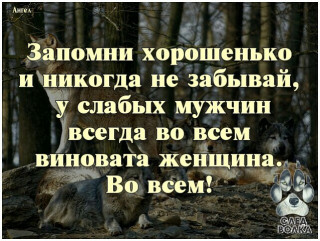 Виновата
