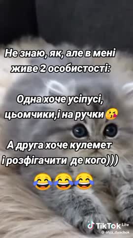 f016c2cb06c0f55b8fe97911f56a1c16