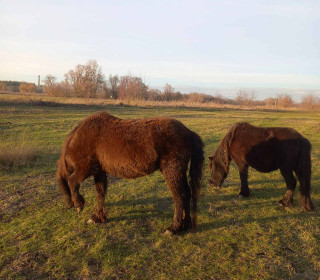 IMG-22c87ec5cedf94aeef1c8aee87b20b78-V