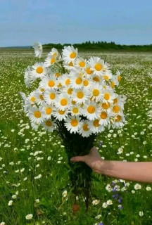 FB_IMG_17032670604868945