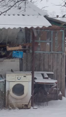 Птички_возле_кормушки