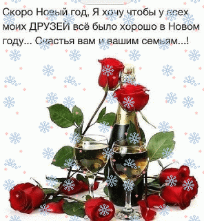 IMG_20231204_051311