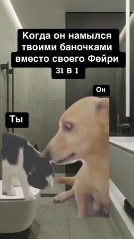 2_5472024184643142484