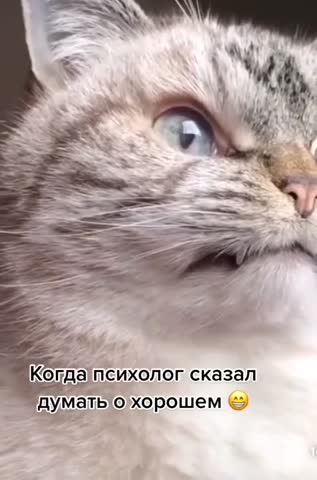 психолог_сказал