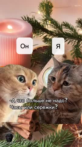 И_так_каждый_год