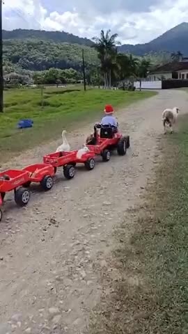 на_встречу_НГ