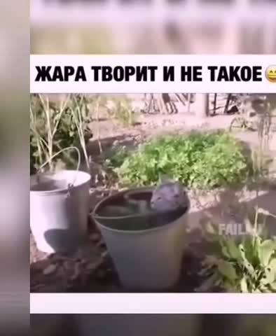 VM_Video_1691435993890