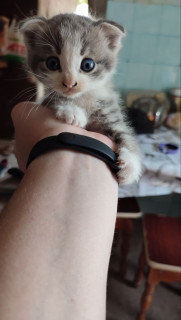 IMG_20230717_210557_697