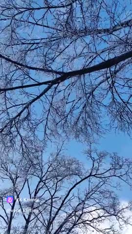 Вера Эленская