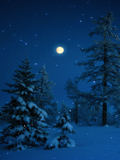 GIF-0221d46805f0c683b29b9ef4bba8c63f