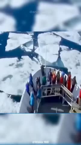 невезучий_мишка