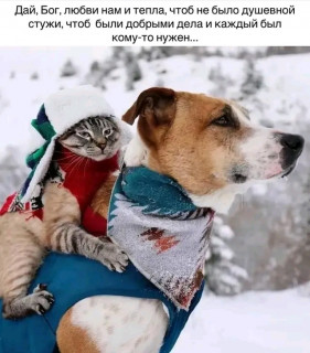 FB_IMG_17043181872912728