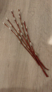 Мне подарили