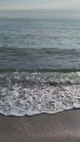 VID_20240103_174217_295