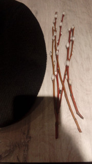 Подарок мне от прохожей по случаю праздника