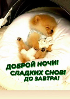 IMG-a9ffeecbc88de47d20716e6190f82ed0-V