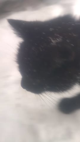 VID_20240108_160903