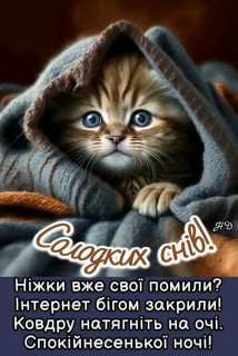 FB_IMG_17047393285495177