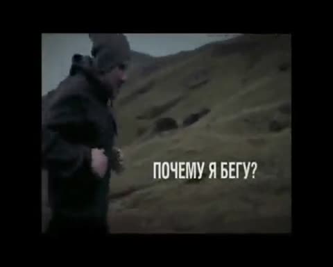 ПаукAMG_Название_____Google_1