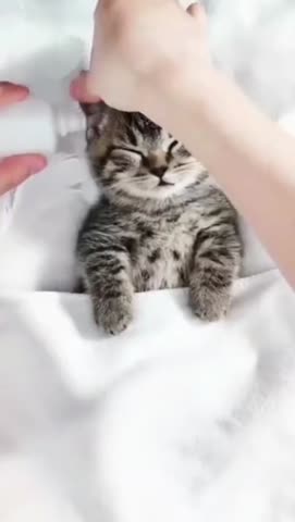 спа_процедуры