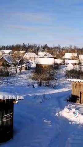 Грустная_правда_жизьни