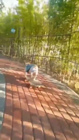 WhatsApp_Video_2024-01-13_at_10_43_06