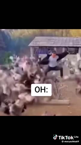 e719a427a07ec6750d2245b689559a8b