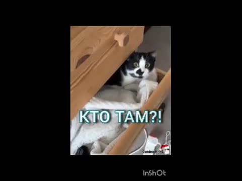 WhatsApp_Video_2024-01-14_at_12_06_01