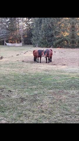 2024-01-14-123351728